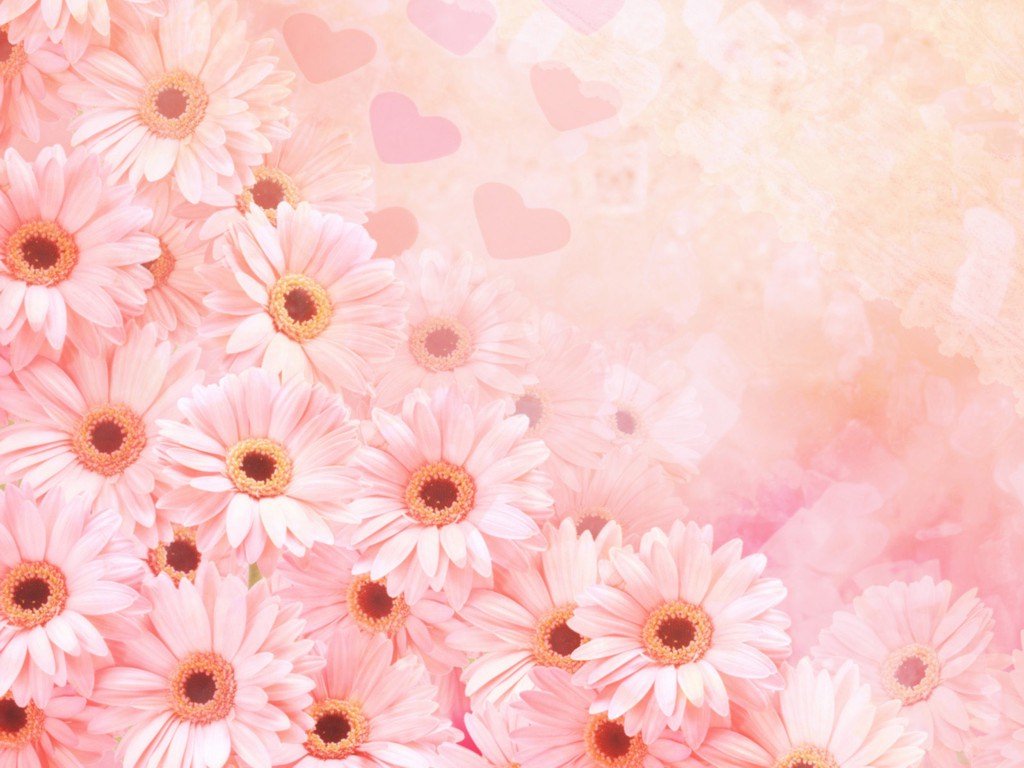 flowers for background