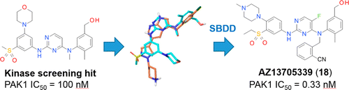 A potent and selective PAK1 inhibitor from Astrazeneca