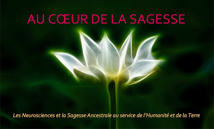                   Au Coeur de la Sagesse