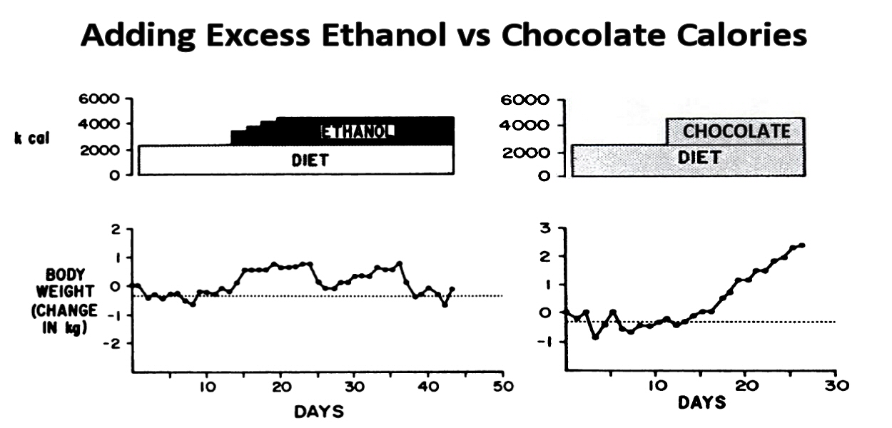 The Whisky Diet Scientific Support for AlcoholInduced Weight Loss
