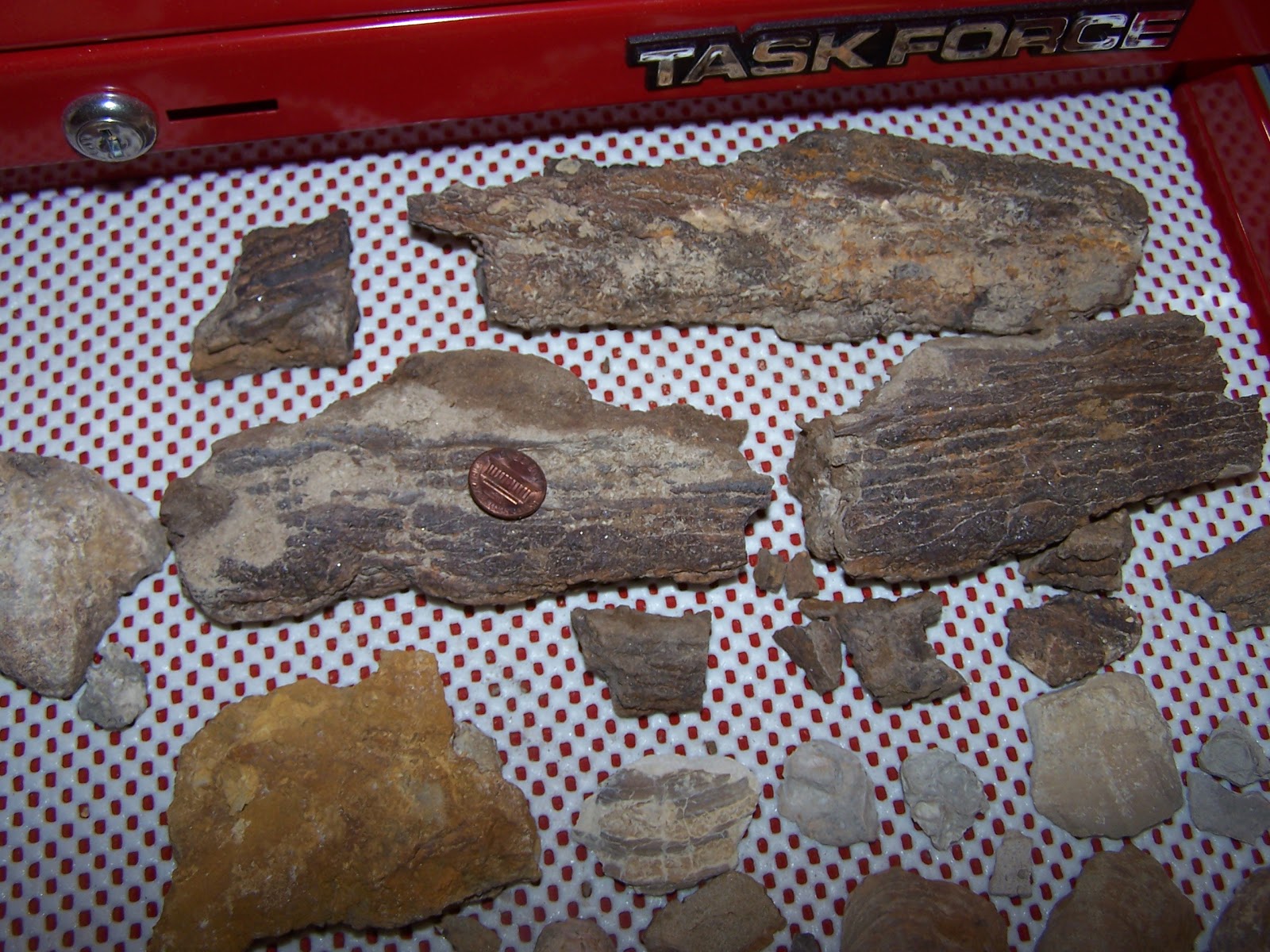 The Natural World Some Like It Hot....Radioactive Hot