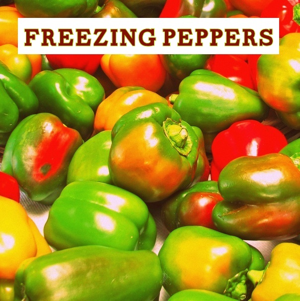 Gardening with Red Hill How to Freeze Your Peppers