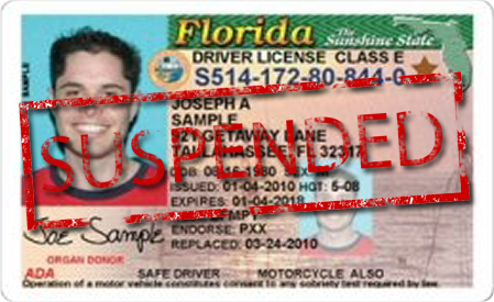 suspend getting driver license