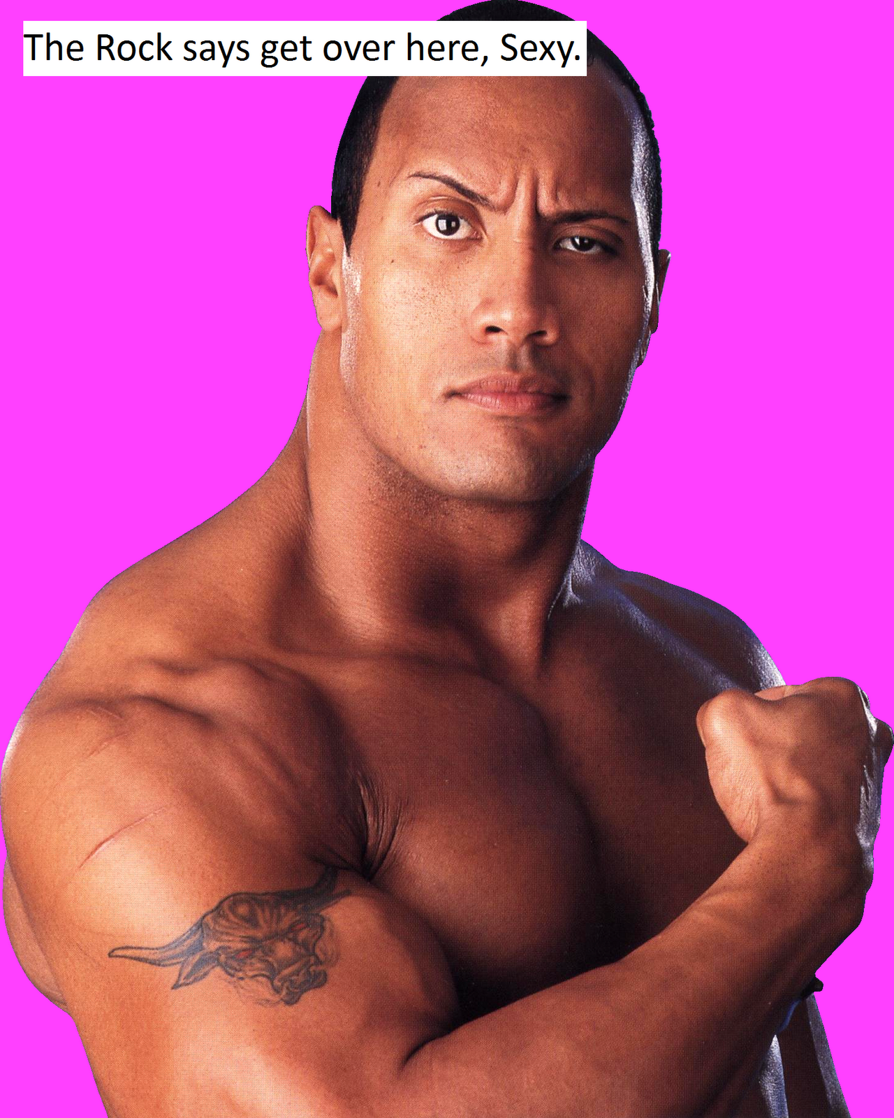 a biography of american wrestling champion dwayne johnson Wayde douglas bowles (august 24, 1944) is a retired canadian professional wrestler best known by his ring name rocky johnson quite popular in his own right in the 1970s and 1980s, he is also known for being the father of actor and former wrestler dwayne "the rock" johnson. a biography of american wrestling champion dwayne johnson Wayde douglas bowles (august 24, 1944) is a retired canadian professional wrestler best known by his ring name rocky johnson quite popular in his own right in the 1970s and 1980s, he is also known for being the father of actor and former wrestler dwayne "the rock" johnson.