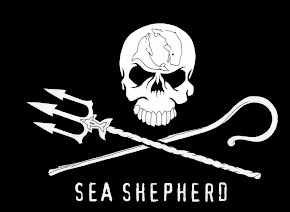 Pastores del mar Sea shepherd