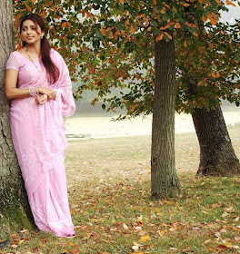 Bhoomika-Chawla-Hot-Actress-In-Saree-Wallpapers