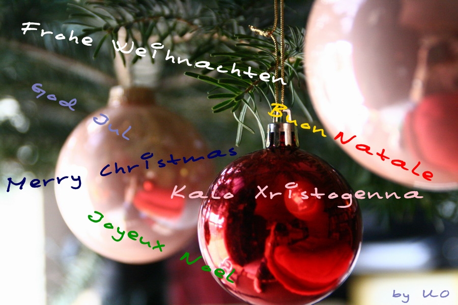 Oberansicht: Dezember 2012