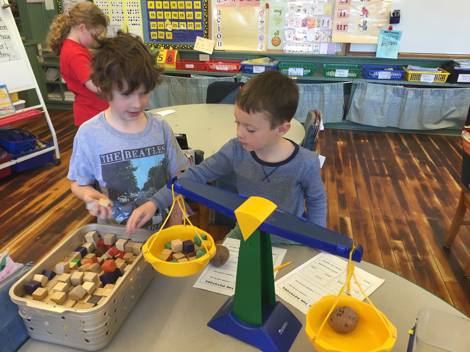 Weighing  Potatoes