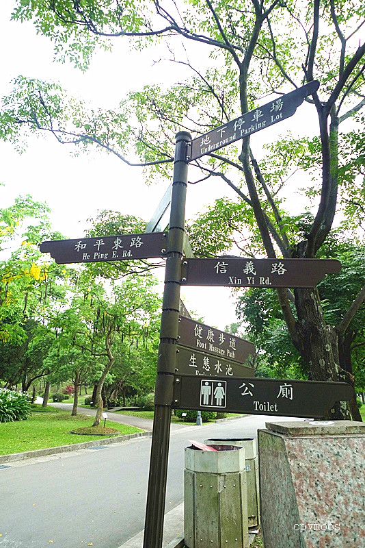 台北公园 大安森林公园 人生过客cpymoos