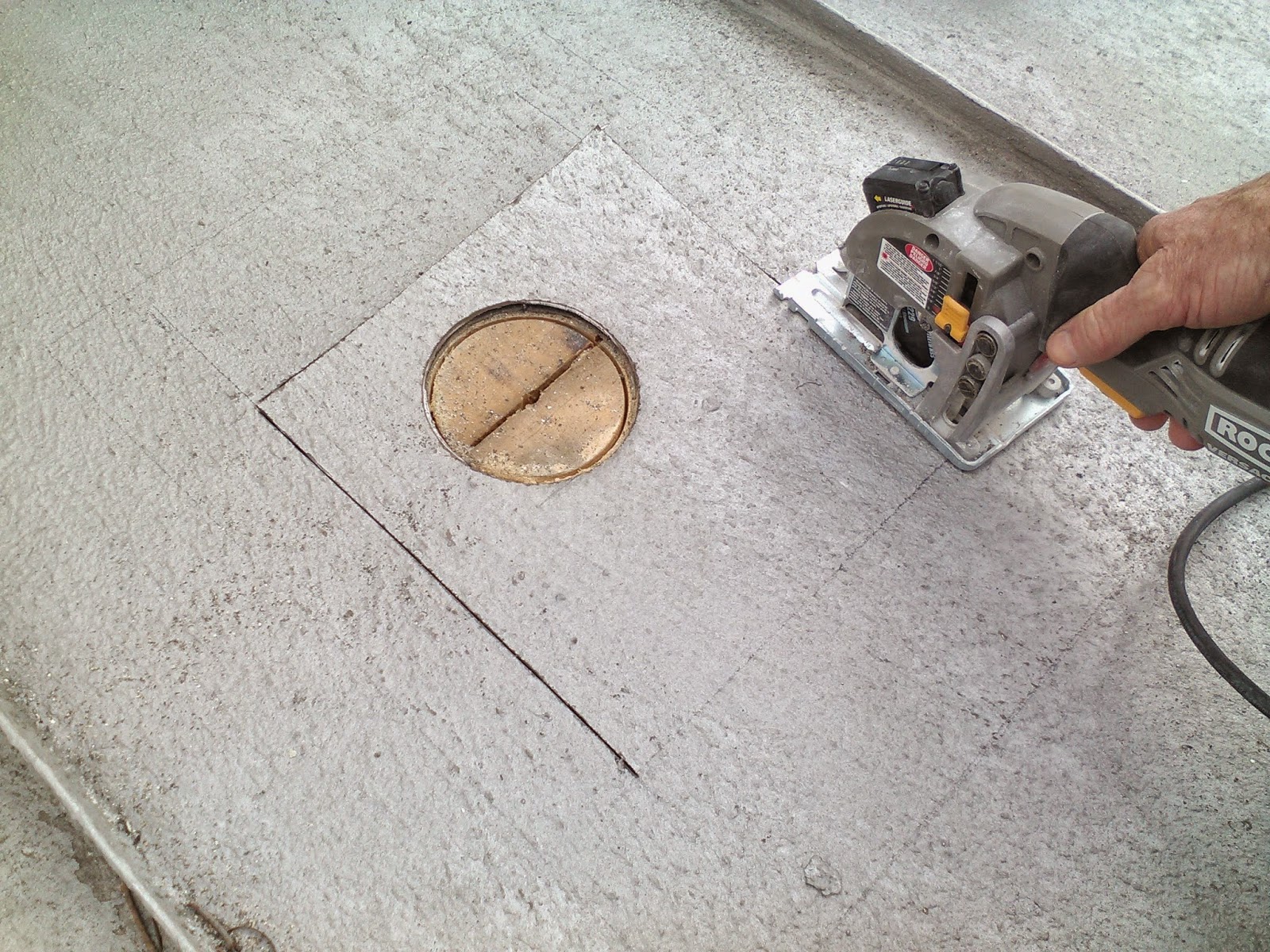 the common milkweed How To Drill A Hole In A Roof