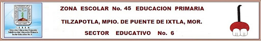 SUPERVISION ESCOLAR 45