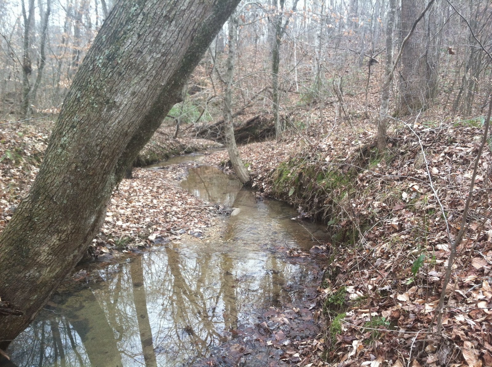 Trail Running Rules. Powhatan Wildlife Management Area