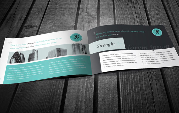 brochure design ideas