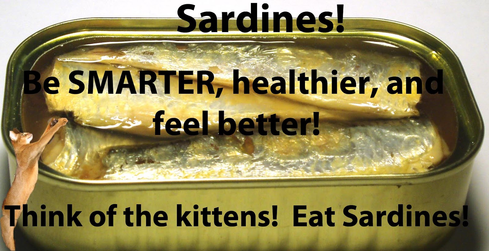 Sardines! Eat Well, Be a Wizard