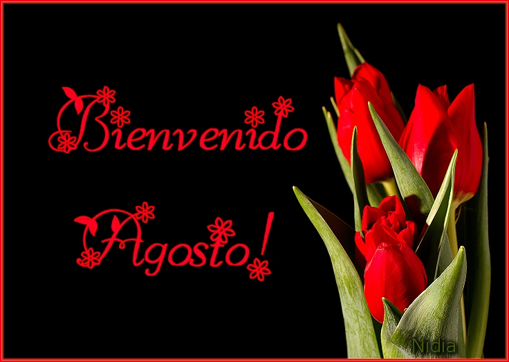 Image result for Agosto Mes De Bendiciones
