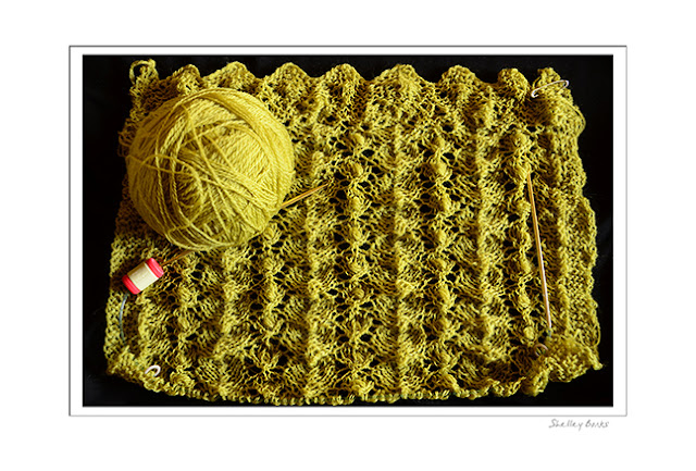 Inching to the end of a delicate lace wool scarf. © SB Copyright Shelley Banks, all rights reserved.