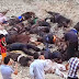 الأمم المتحدة: مقتل 2417 عراقيا خلال يونيو