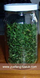 daun_seledri_kering