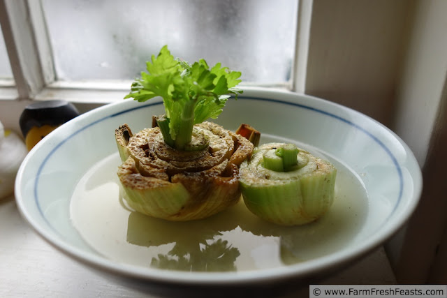 http://www.farmfreshfeasts.com/2013/02/broccoli-and-cheese-on-boboli-pizza.html