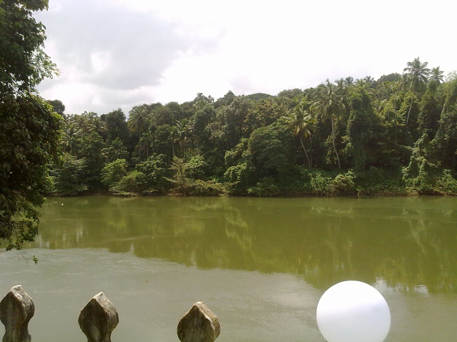 Muvattupuzha JungleKey.in Image