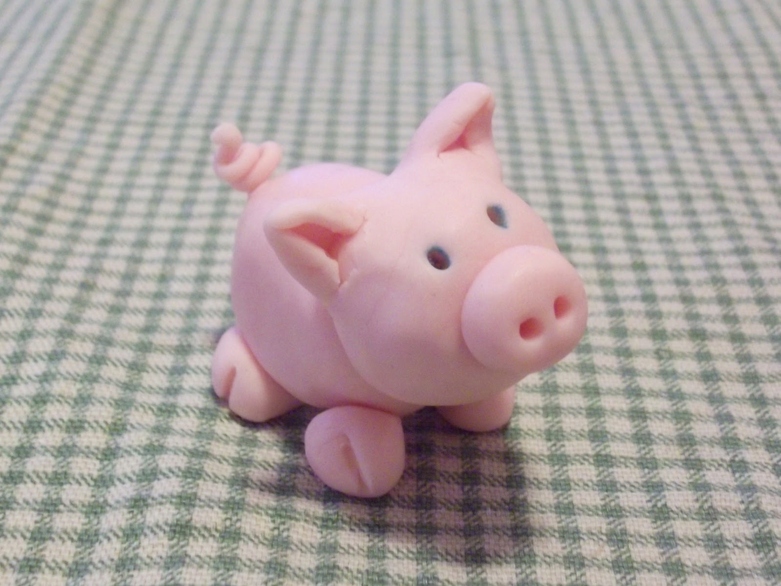 Cute Small Pig