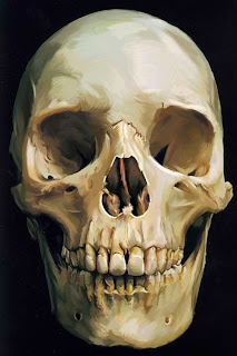 digital painting of a skull by Tony Mark