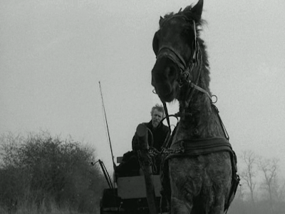 The Turin Horse (2011) The Turin Horse, The Master Rides the Stubborn Horse in the Gale Storm, Directed by Bela Tarr