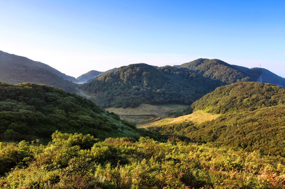 Gardening Could Be The Hobby That Helps You Live To 100 Bbc Worklife