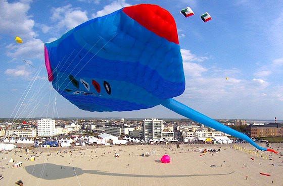 Largest Kite