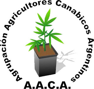 AACA