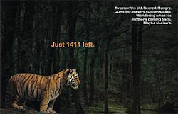 Save our Tiger