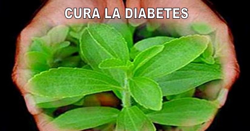 Carlos Martínez M_Aprendiendo la Sana Doctrina: STEVIA: LA Carlos Martínez M_Aprendiendo la Sana Doctrina: STEVIA: LA