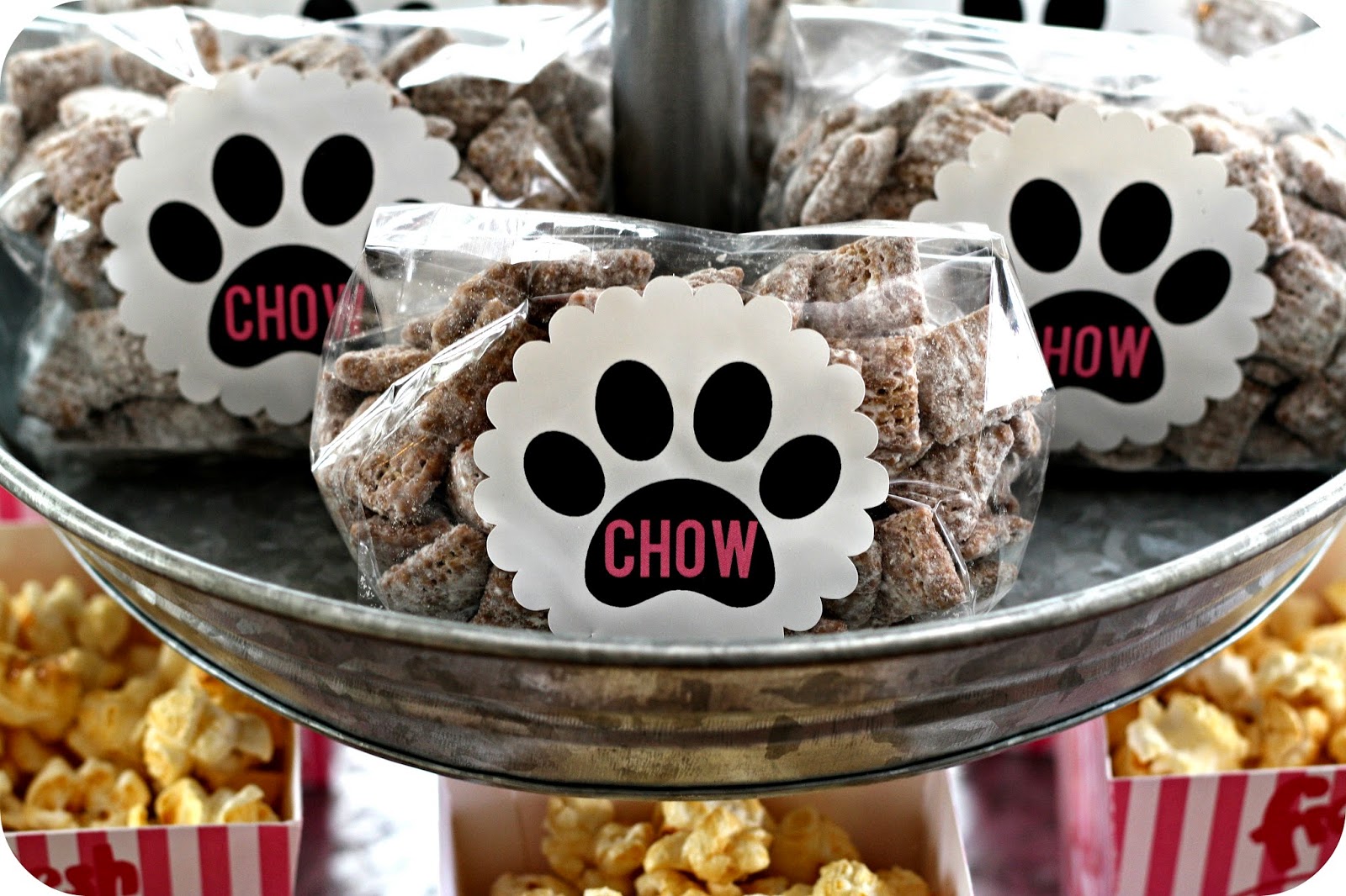 Keeping My Cents ¢¢¢ Dog Birthday Party Ideas!