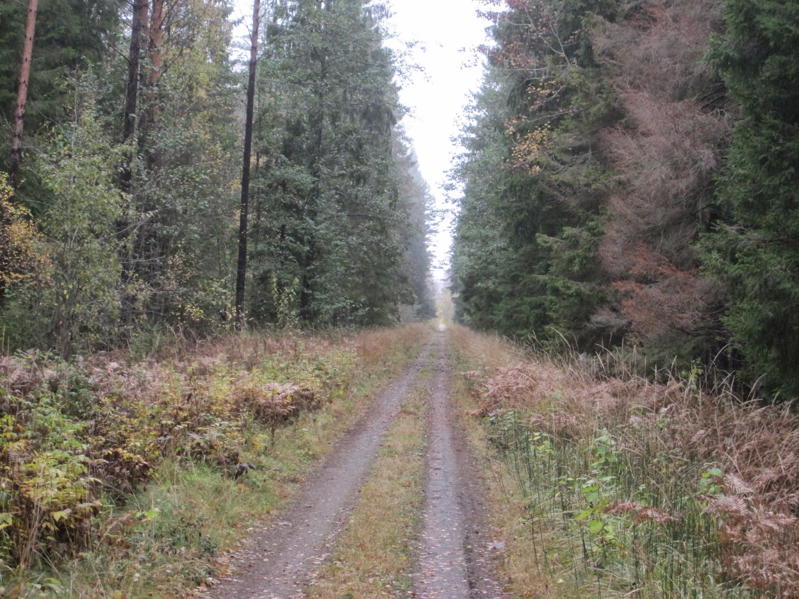 Kotteland & fridhemsparadiset: oktober 2014