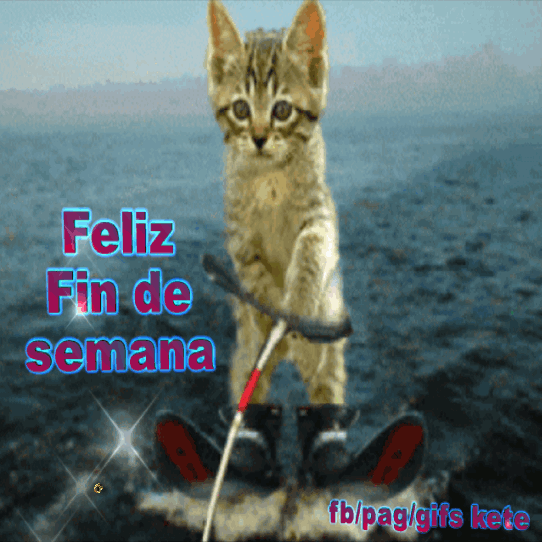 See the source image