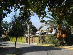 Vistas de Ñuñoa