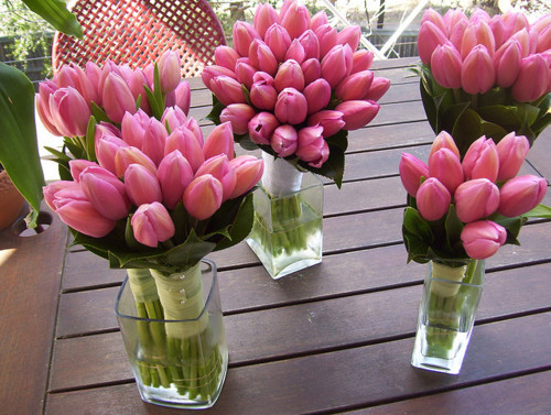 wedding tulips
