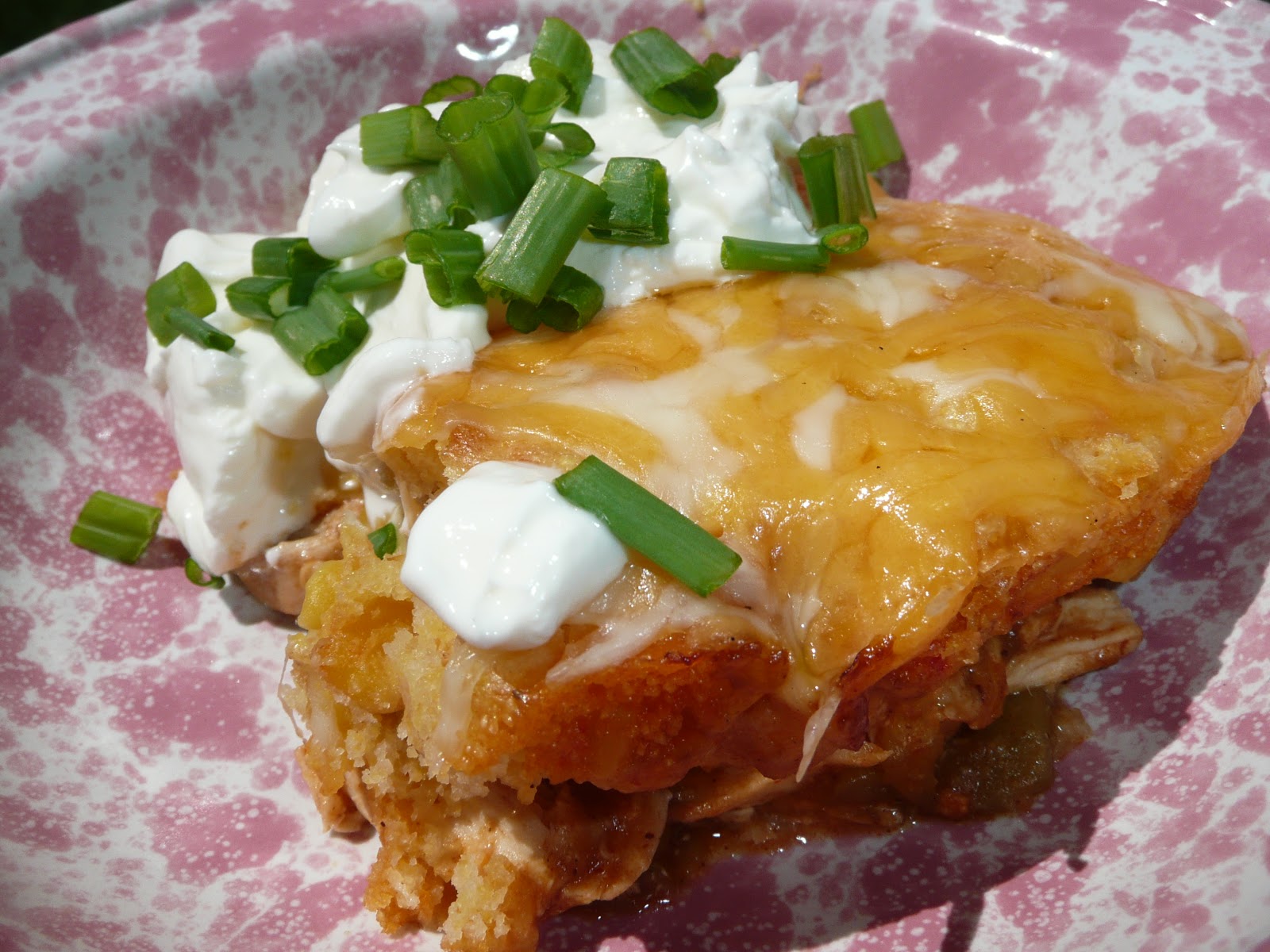 Everyday Dutch Oven ChickenChile Enchilada Pie