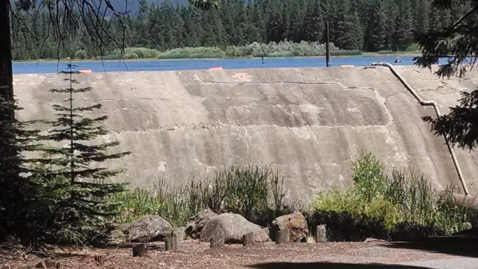 Sheryl's Travels Shingletown and Beyond