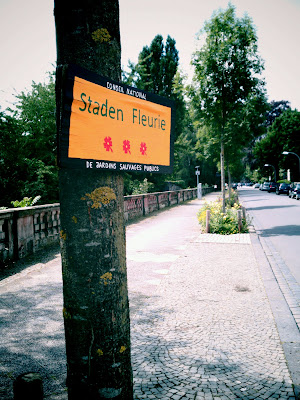 sign, flowers, 