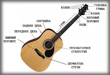 Строение Акустической Гитары!