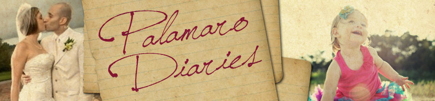 palamaro diaries