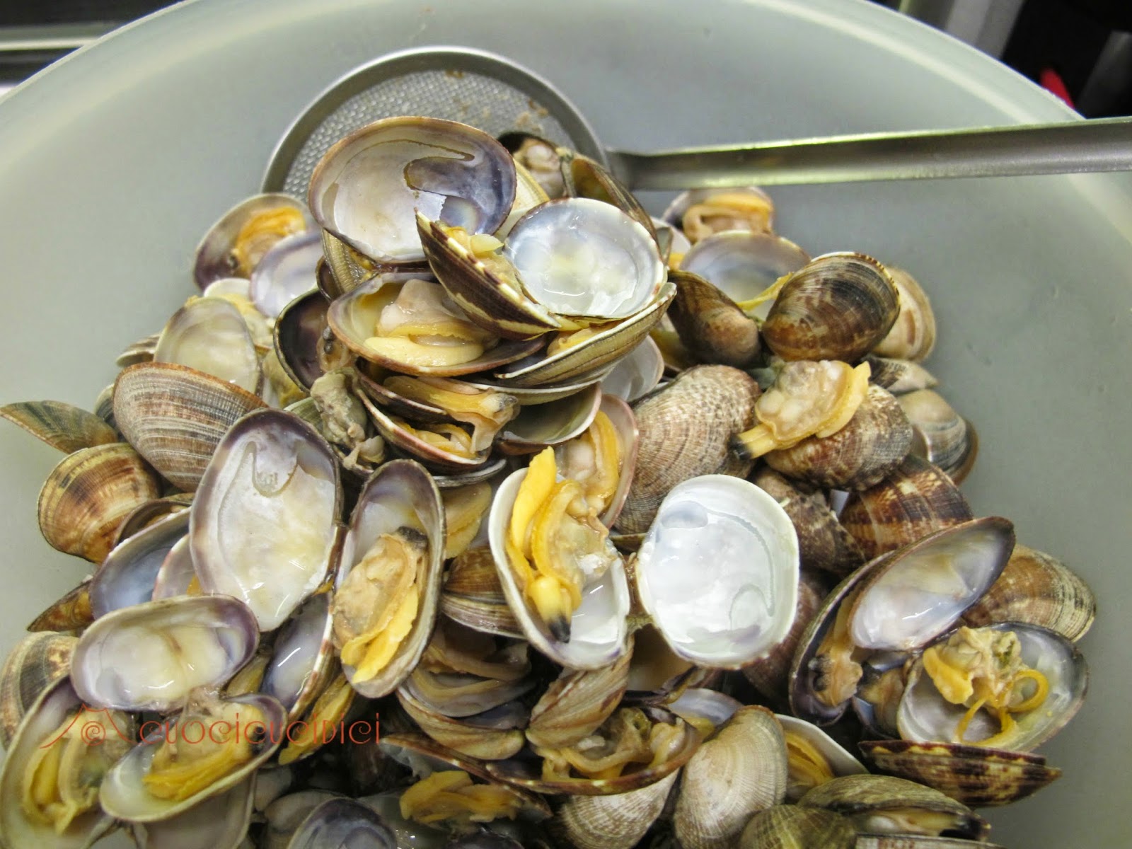 cuocicucidici NEW ENGLAND CLAM CHOWDER ZUPPA DI VONGOLE di Martha Stewart