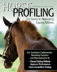 Horse Profiling sneak peek