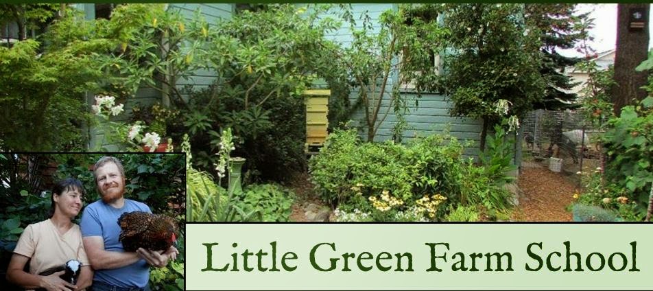 Little Green Farmschool