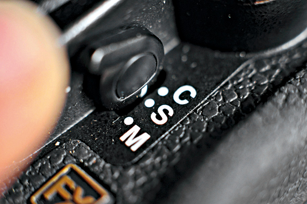 How to set your autofocus for macro photography How to set your autofocus for macro photography