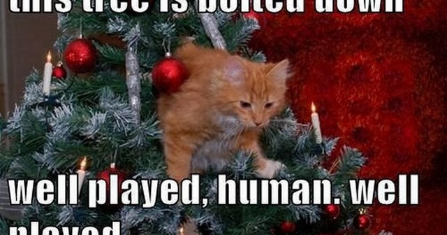 Chuck's Fun Page 2: Some funny Christmas images