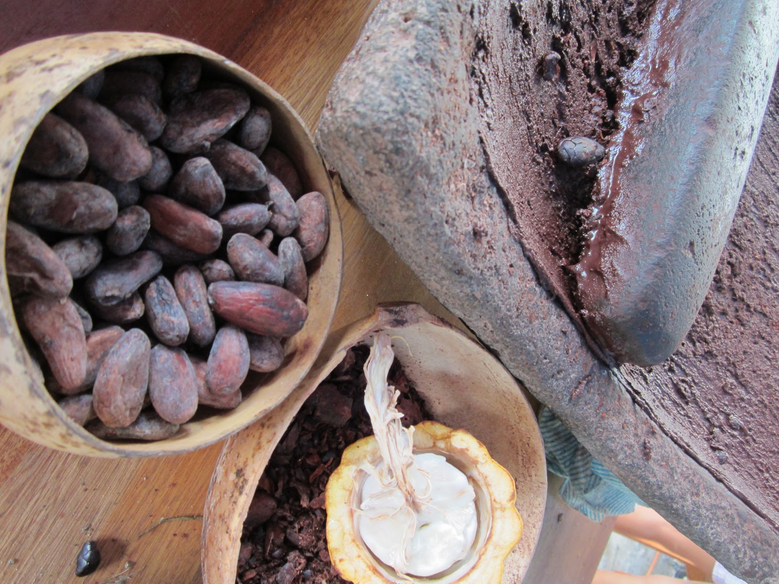 Chocolate in Belize and the Toledo Cacao Festival Taste Belize Food
