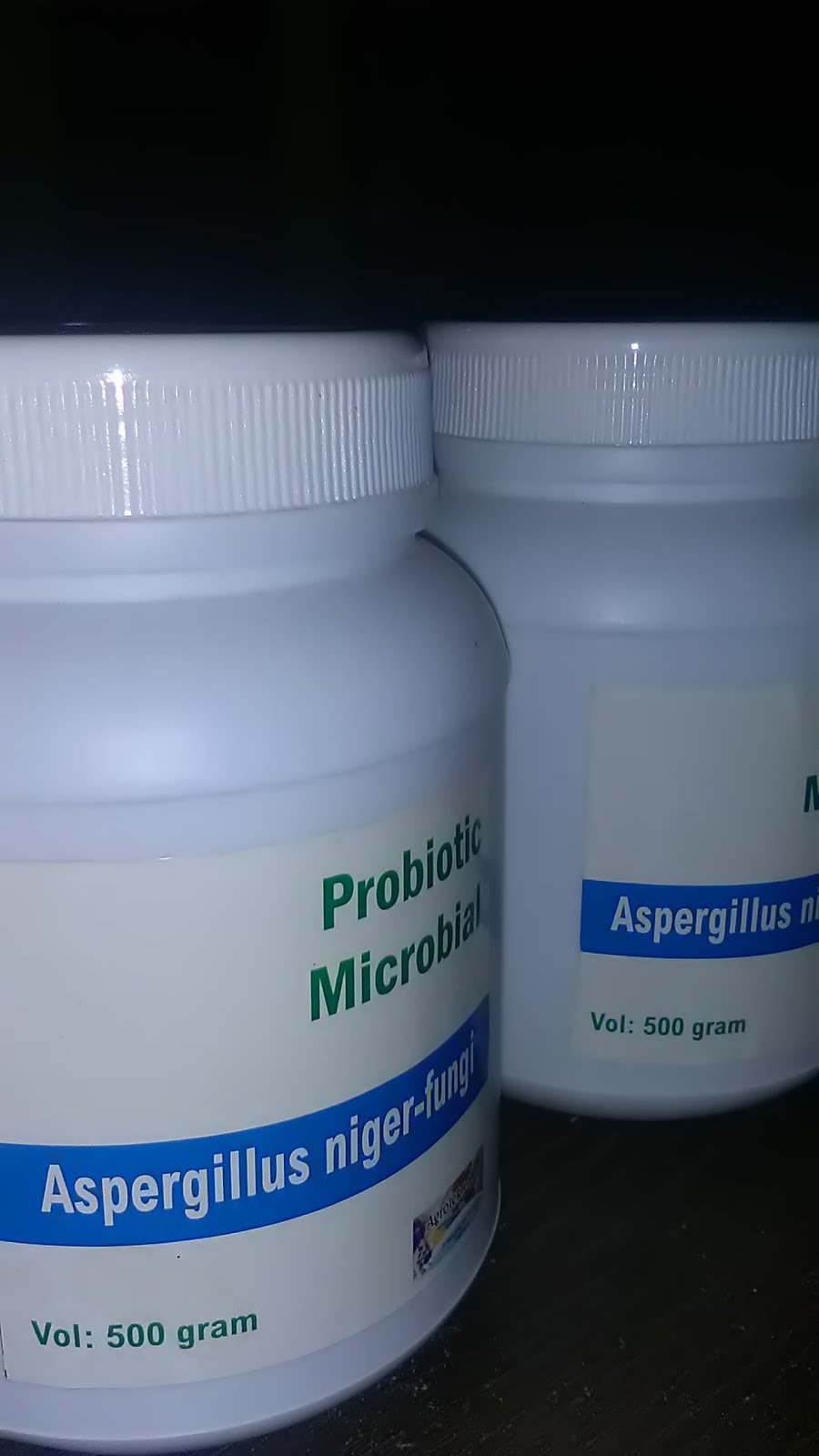 Aspergillus niger