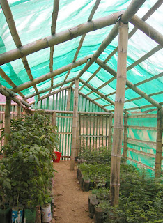 JENIS GREEN HOUSE